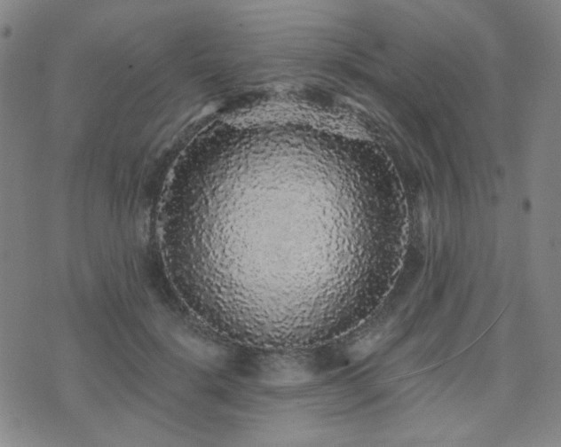 X0000072540652200607141228