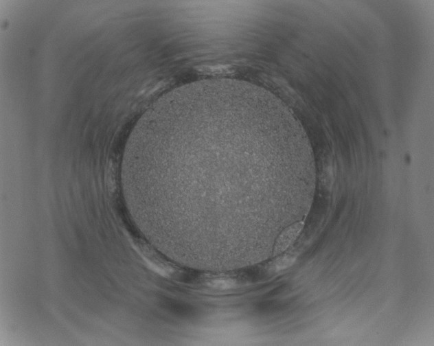X0000072540658200607141229