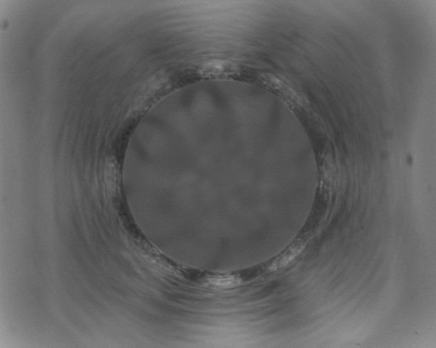 X0000072540659200607141229