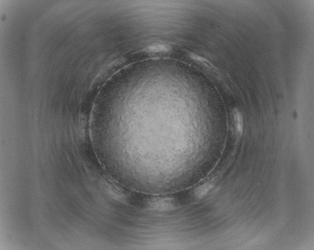 X0000072540664200607141229
