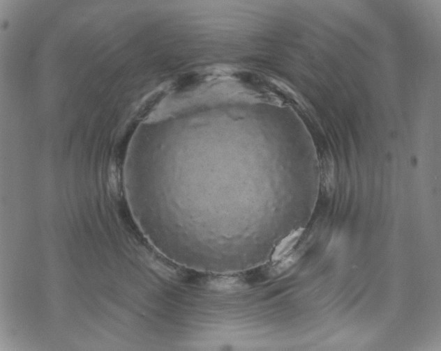 X0000072540669200607141229