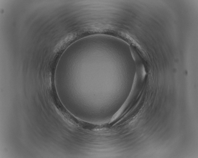 X0000072540685200607141228