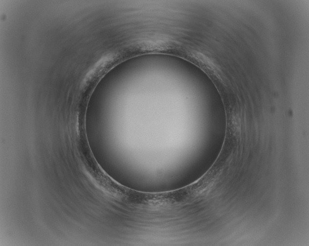X0000072540686200607141228