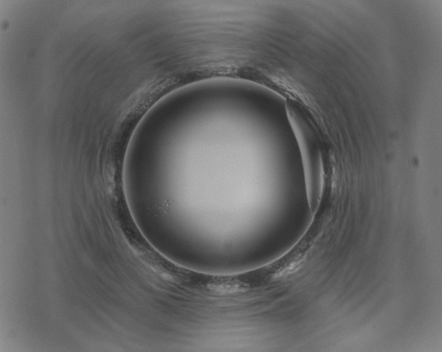X0000072540693200607141228