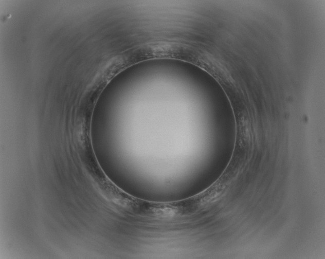 X0000072540698200607141228