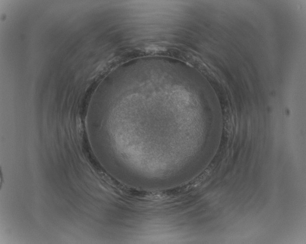 X0000072540704200607141228