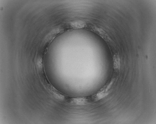 X0000072540713200607141227