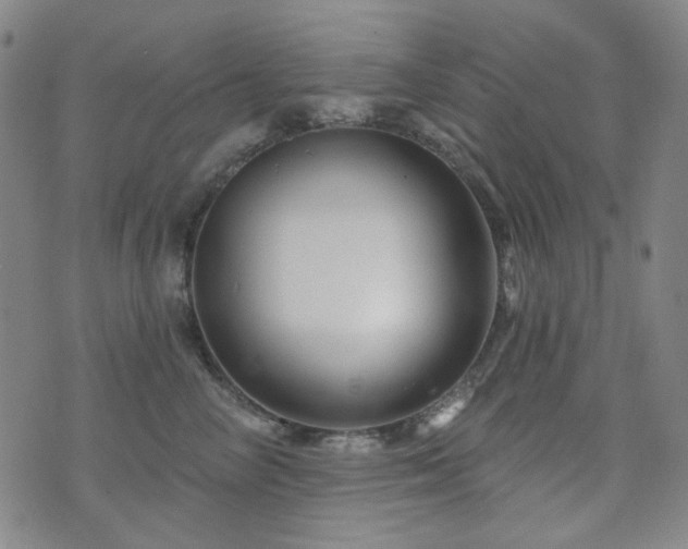X0000072540714200607141227