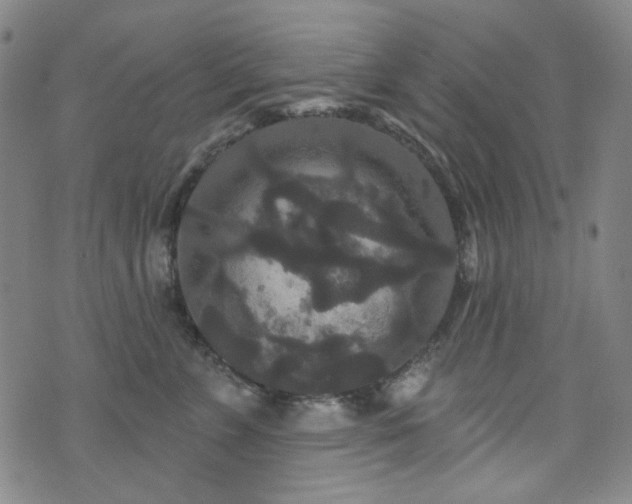 X0000072540715200607141227