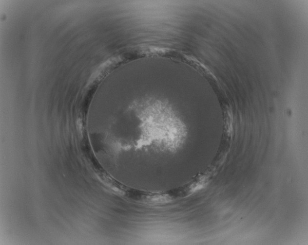 X0000072540716200607141227