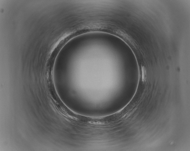 X0000072540723200607141226