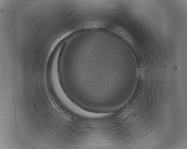 X0000072540724200607141227