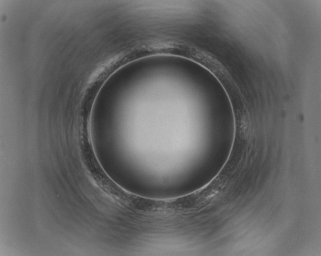 X0000072540732200607141227