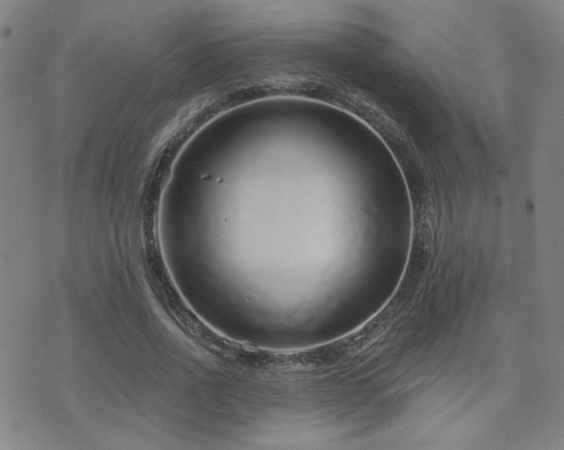 X0000072540734200607141227