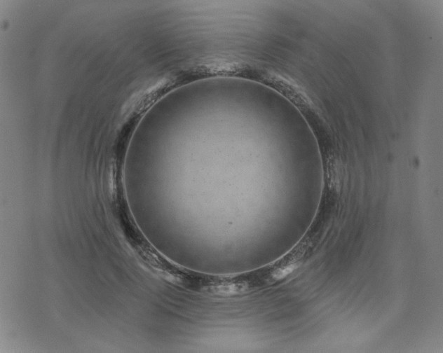 X0000072540740200607141227