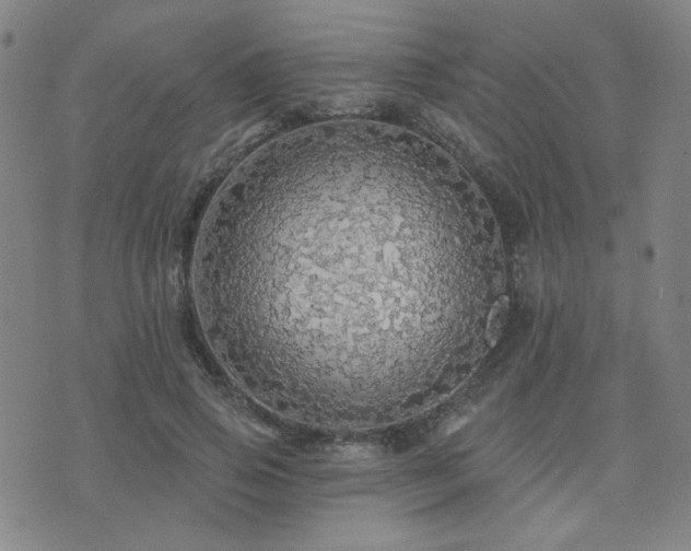 X0000072540741200607141227