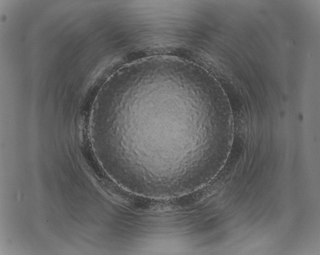 X0000072540742200607141227