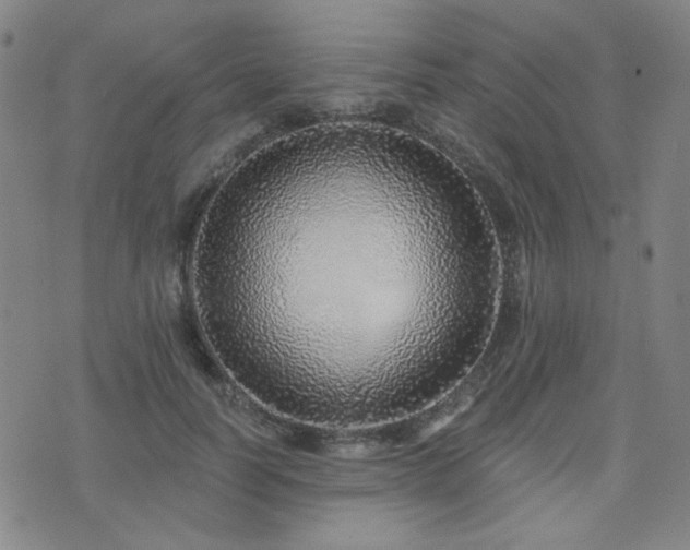X0000072540746200607141227