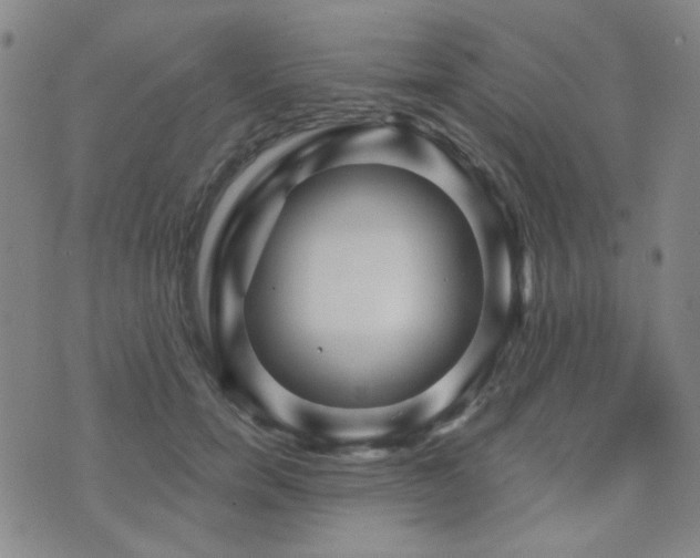 X0000072540750200607141227