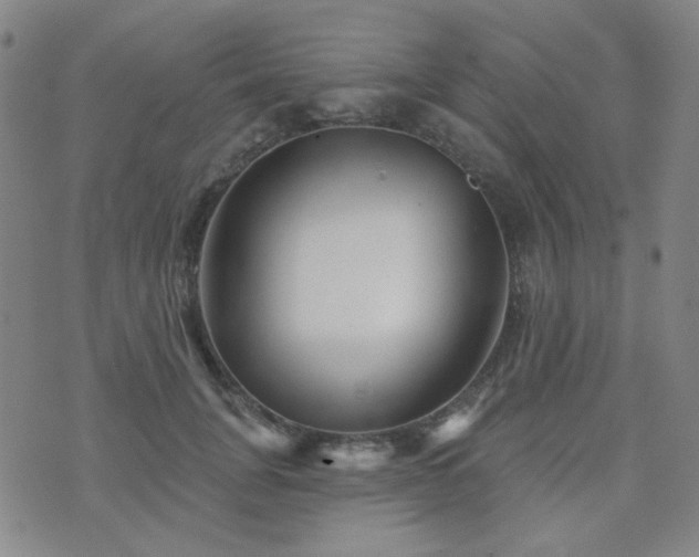 X0000072540751200607141227