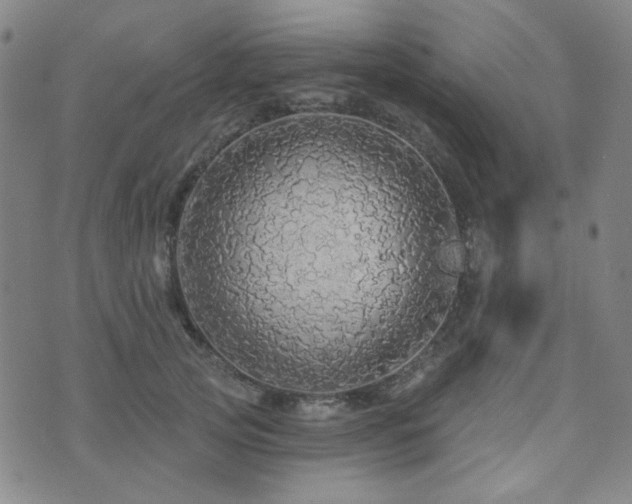 X0000072540753200607141227