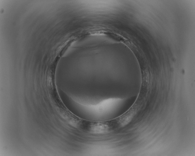 X0000072540754200607141227