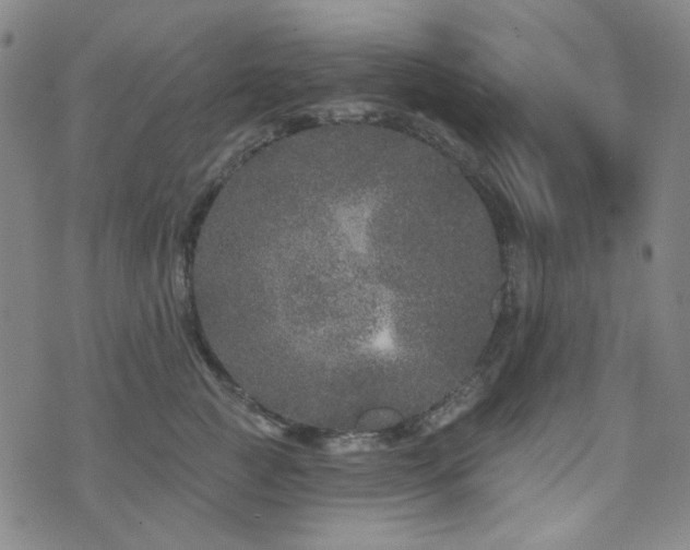 X0000072540761200607141227