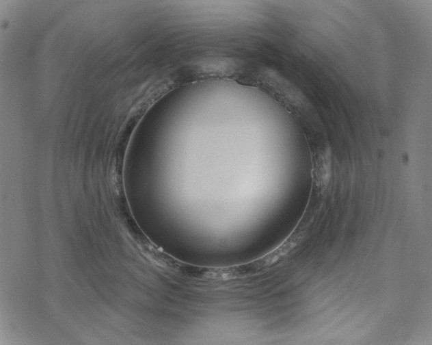X0000072540764200607141227
