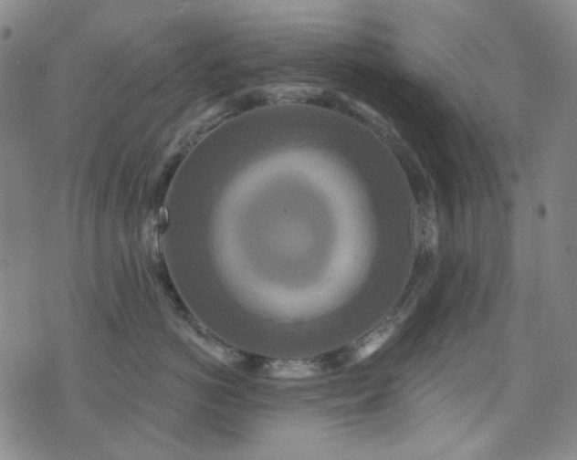 X0000072540766200607141227