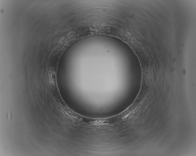 X0000072540770200607141226