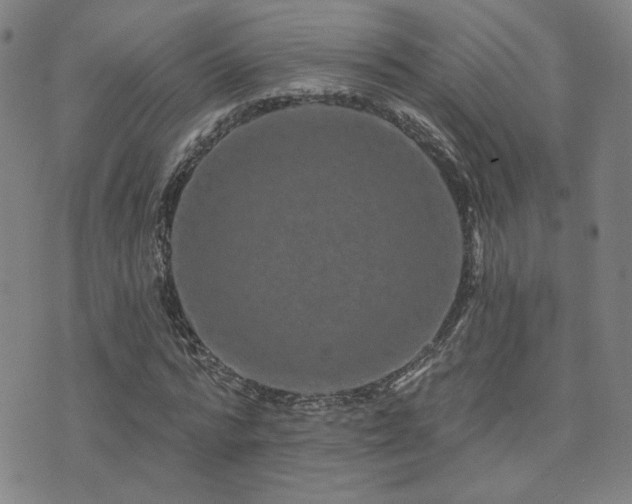 X0000072540776200607141226