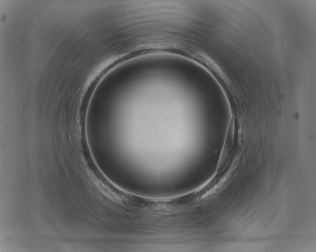X0000072540787200607141226