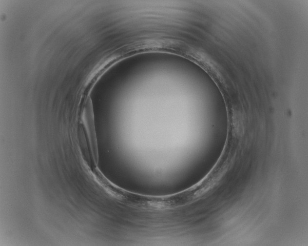 X0000072540794200607141226