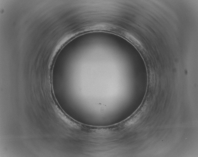X0000072540800200607141226