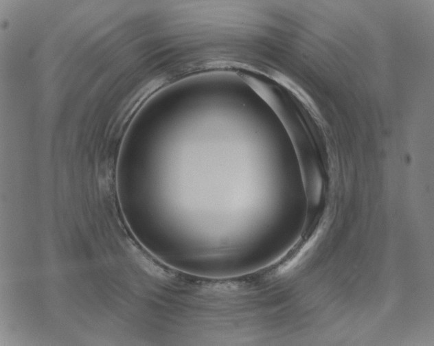 X0000072540801200607141226