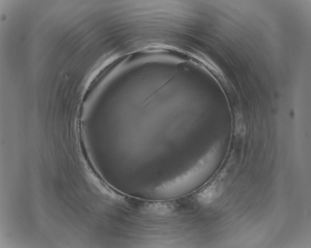 X0000072540806200607141226