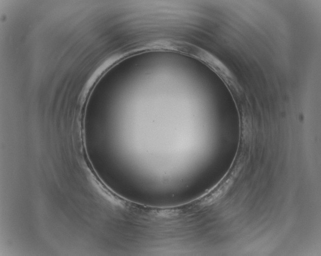 X0000072540808200607141226