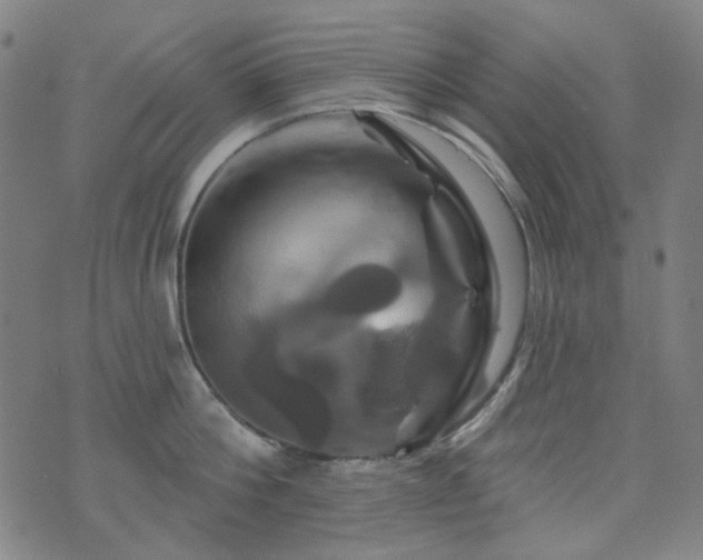 X0000072540812200607141226