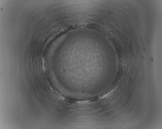 X0000072540818200607141225