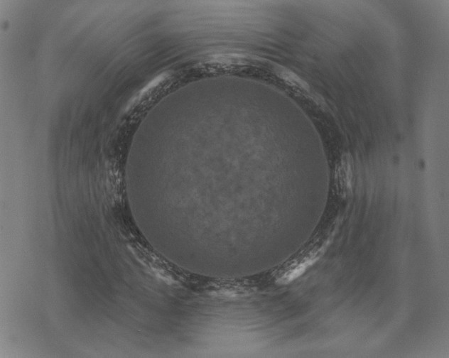X0000072540822200607141225