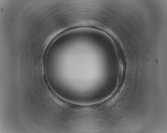 X0000072540838200607141225