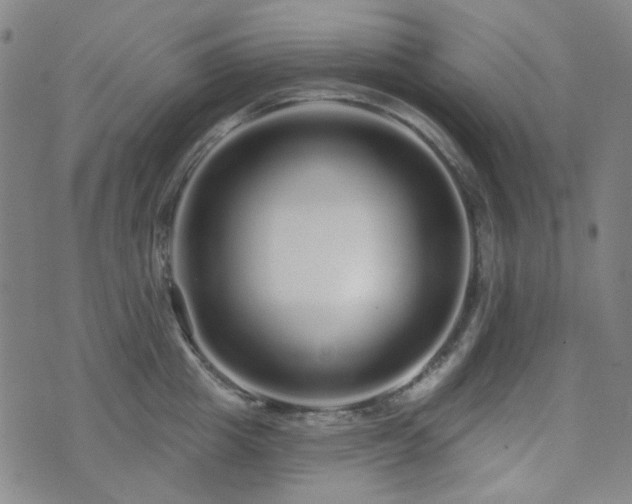 X0000072540857200607141226