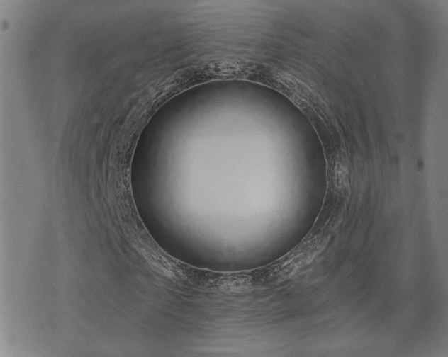 X0000072540865200607141225