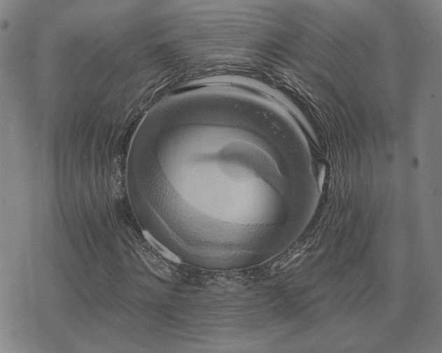 X0000072540868200607141225