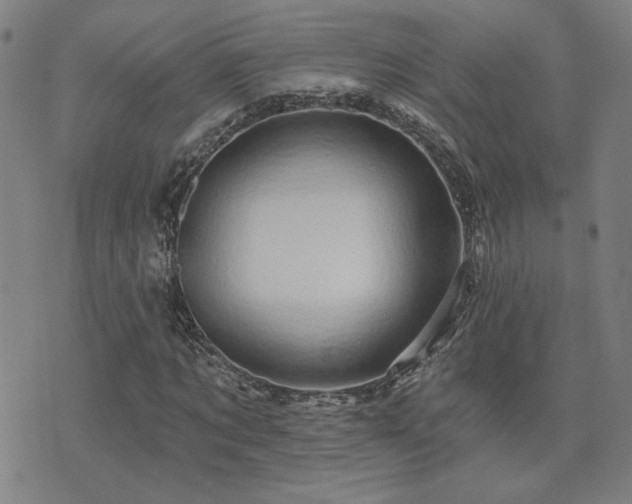 X0000072540869200607141225