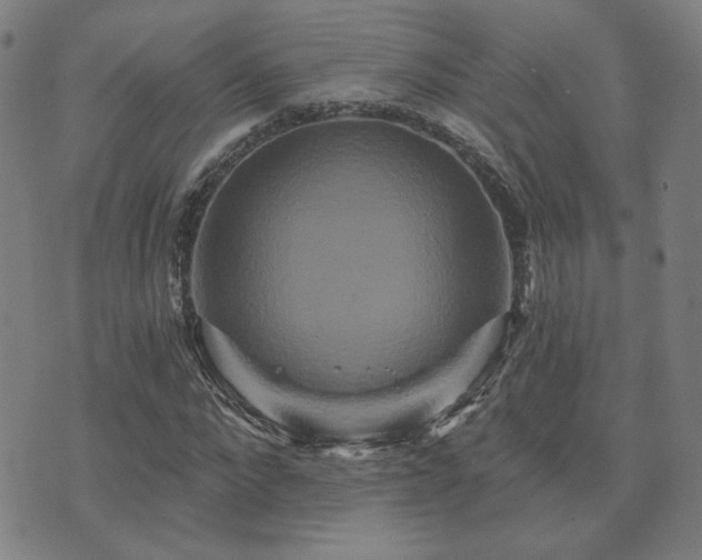 X0000072540872200607141225