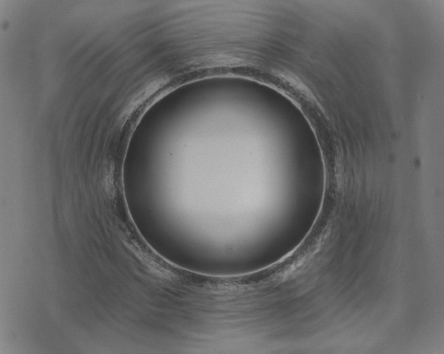 X0000072540873200607141225