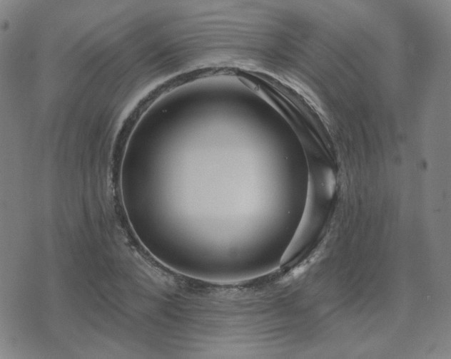X0000072540880200607141225