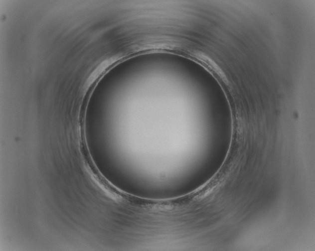 X0000072540890200607141224