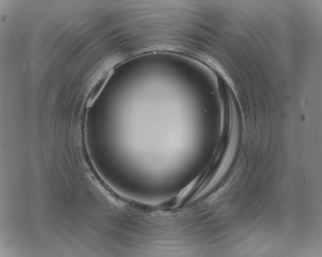 X0000072540898200607141224